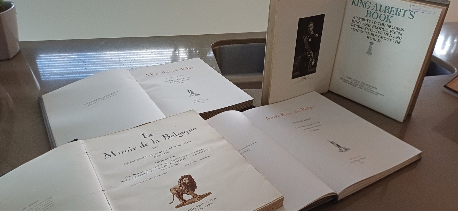 Des livres uniques de la famille royale belge., Livres, Enlèvement
