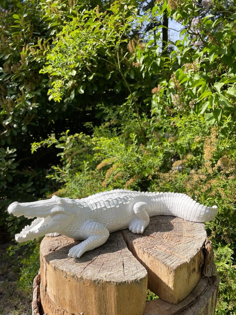 Beeld krokodil tuin, gazon, dierentuin, boerderij 45cm, Ophalen of Verzenden, Nieuw, Kunststof, Dierenbeeld