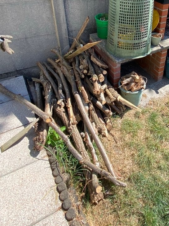 Bois a bruler gratuit, Tuin en Terras, Brandhout, Minder dan 3 m³, Ophalen, Overige houtsoorten, Stammen