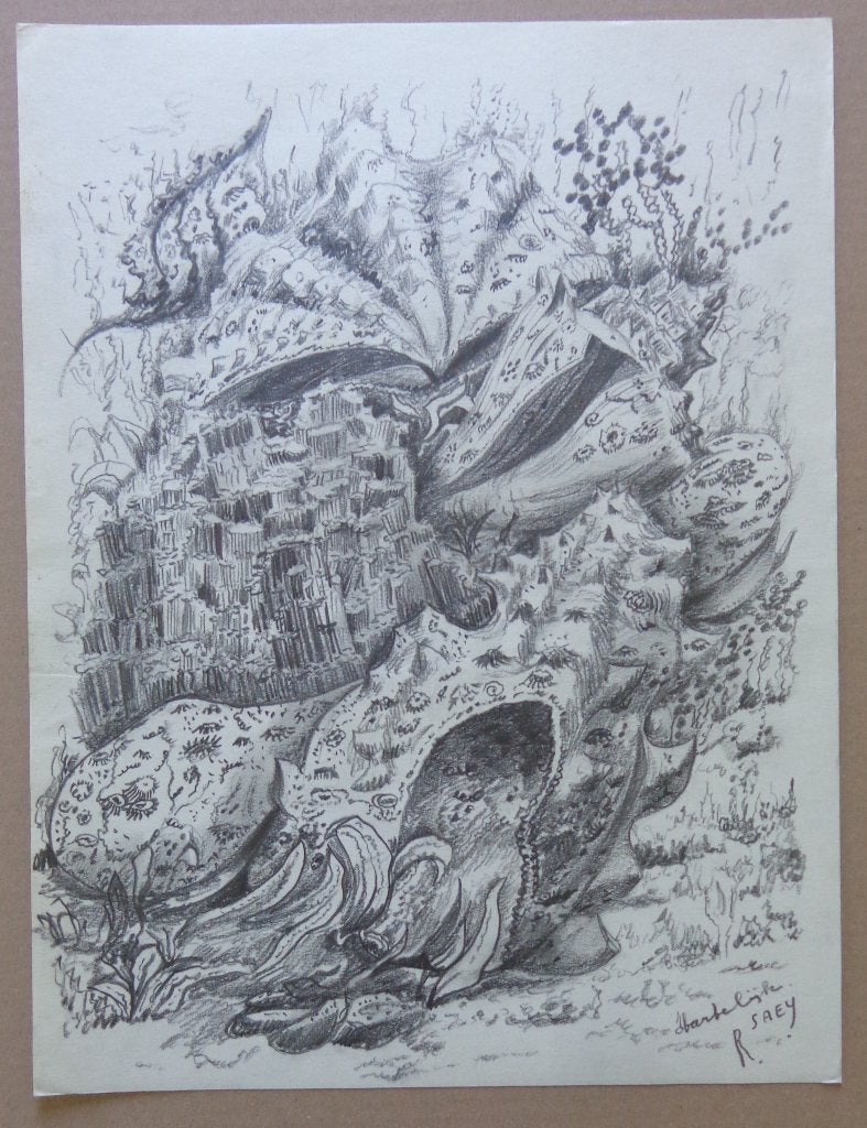 RENAAT SAEY / DROOMWERELD / ORIGINEEL WERK / 39x30cm / SIG, Enlèvement ou Envoi