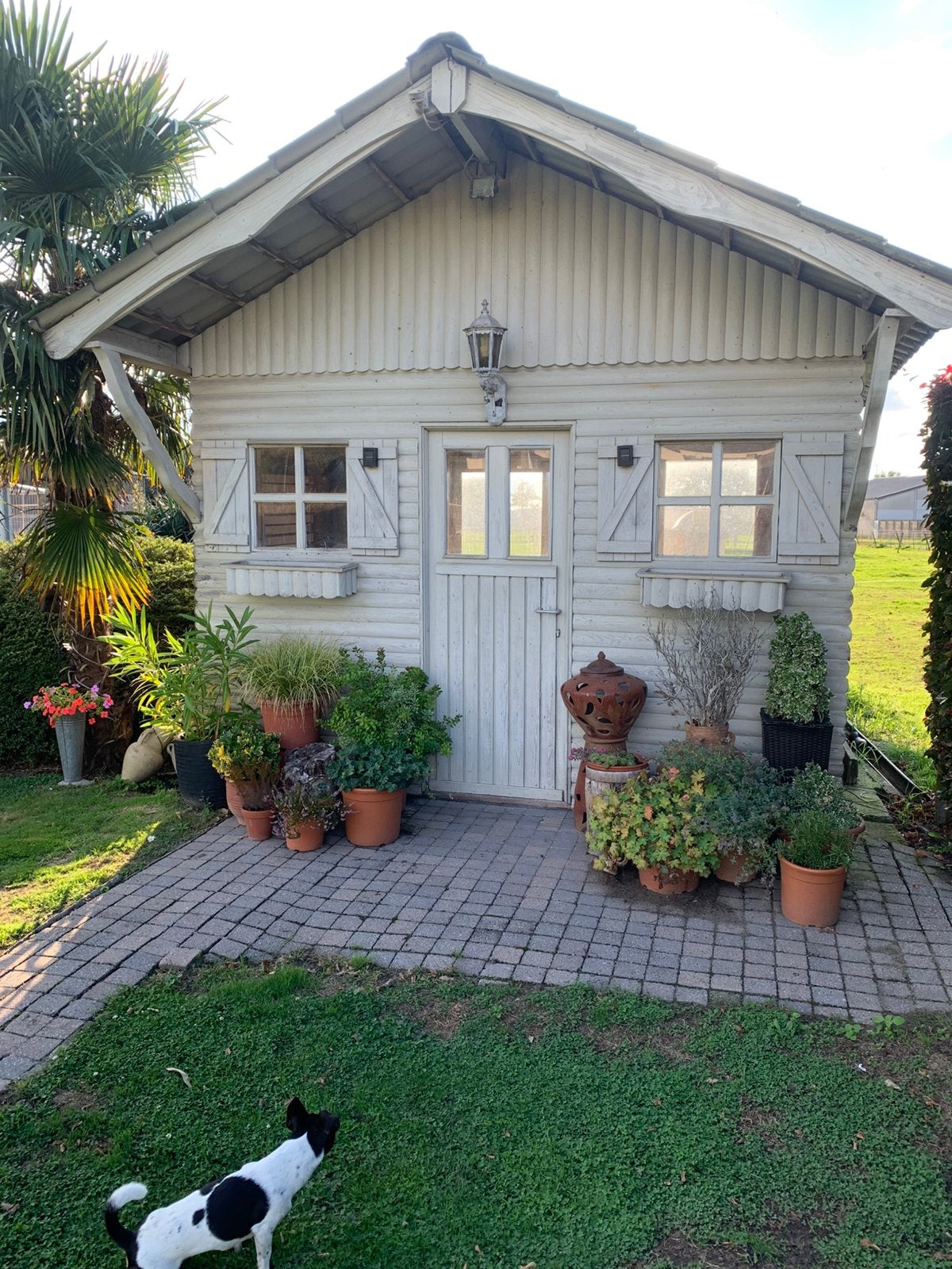 Tuin Gratis zelf uit breken, Tuin en Terras, Ophalen, Gebruikt, Hout, Tuinhuis