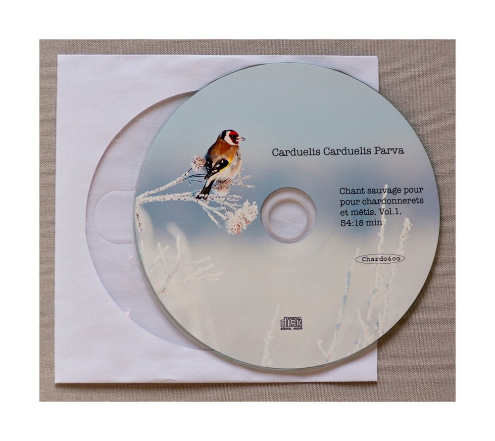 Putter zang CD's, Animaux & Accessoires, Oiseaux | Oiseaux Autre, Plusieurs animaux, Oiseau chanteur sauvage, Domestique