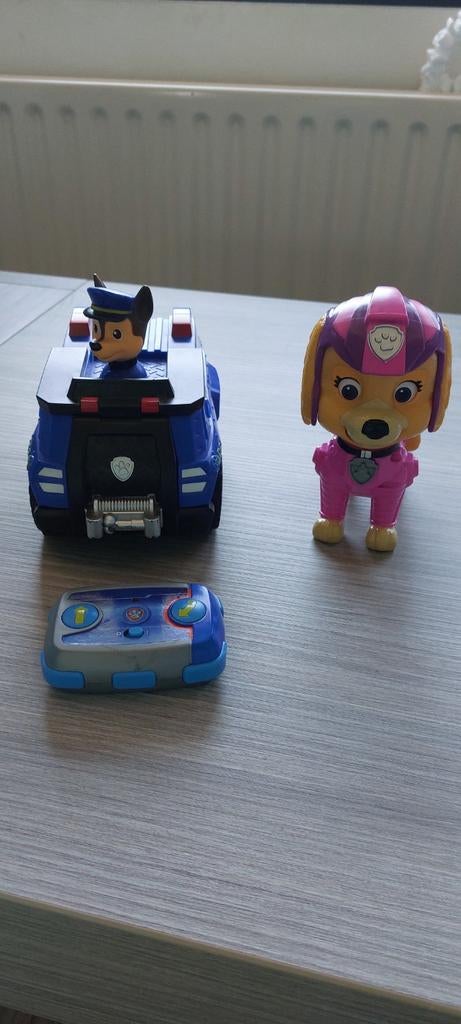 Paw patrol Chase en Skye, Enlèvement