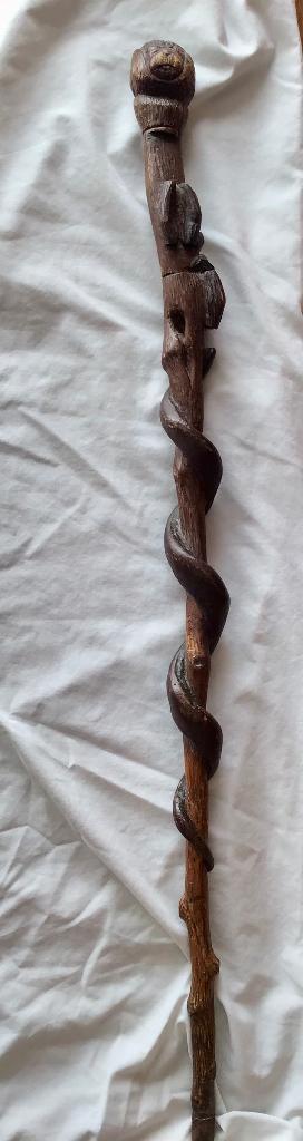 Cane de vétéran belge ww1, Collections, Enlèvement ou Envoi, Armée de terre