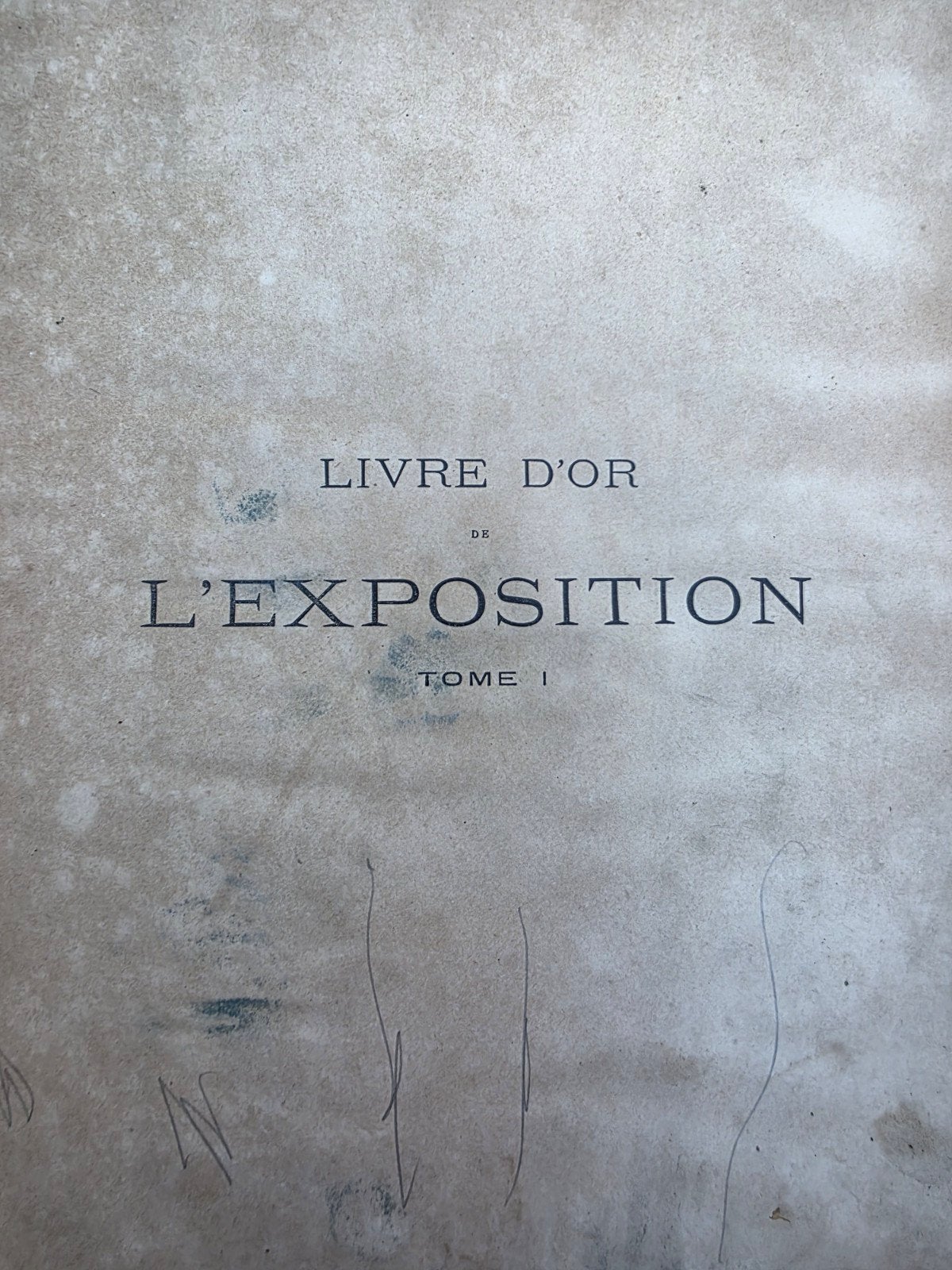 Livre sur l'exposition universelle de paris, Livres