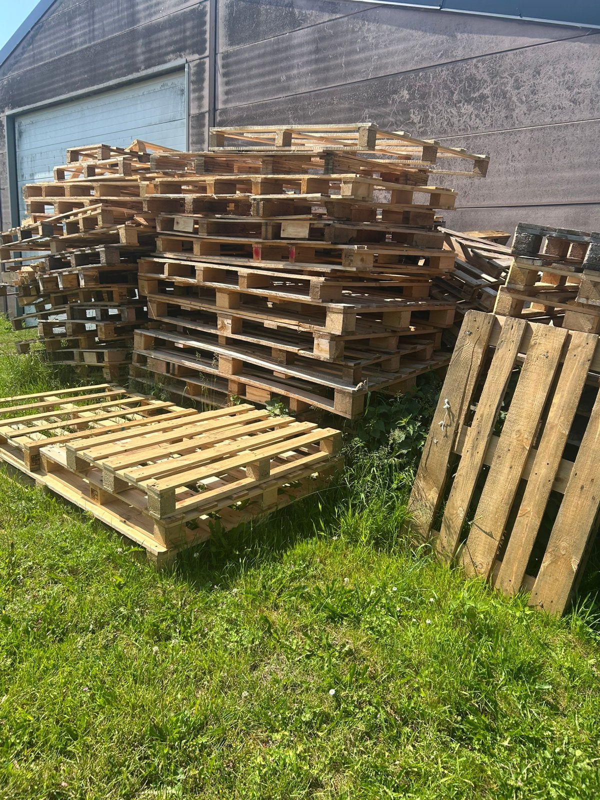 Palleten en europalleten te koop 10 euro voor alles !!!, Enlèvement