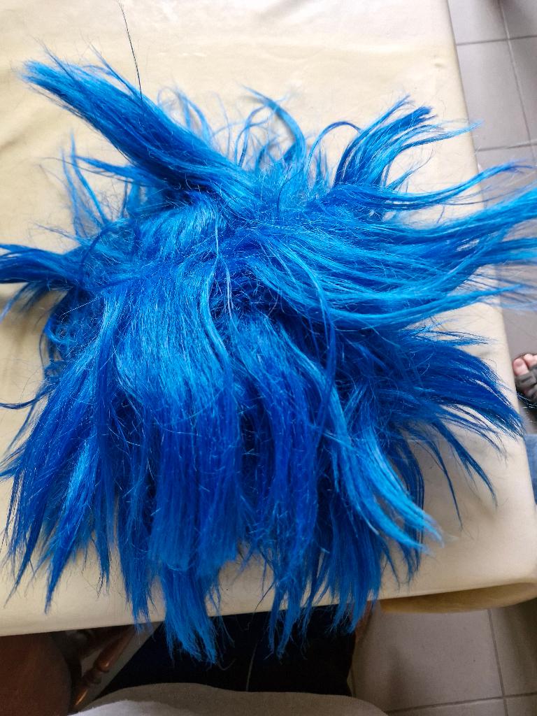 Blauwe mangapruik, Ophalen