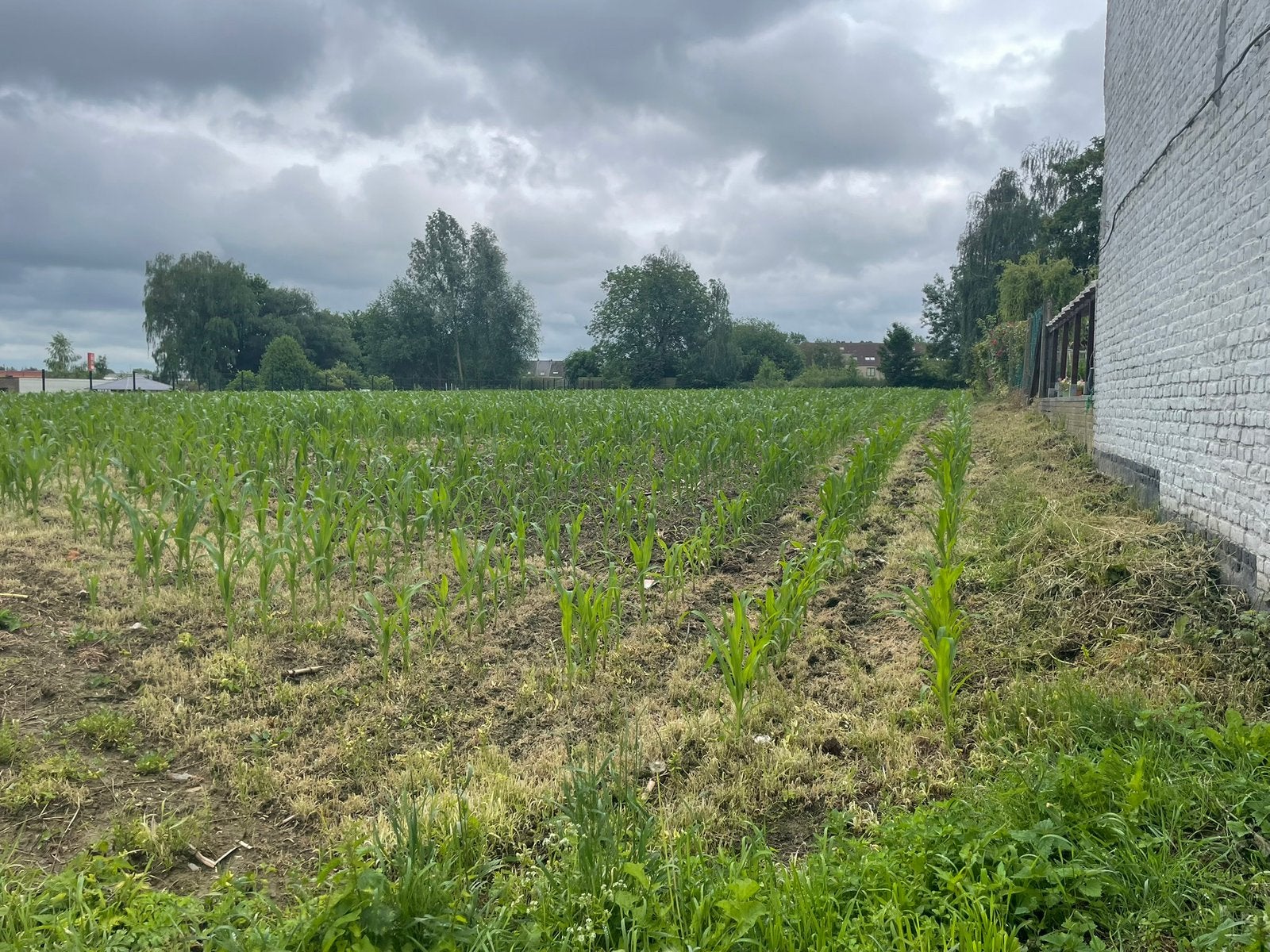 Eeklo 1ha Landbouwgrond eeklo