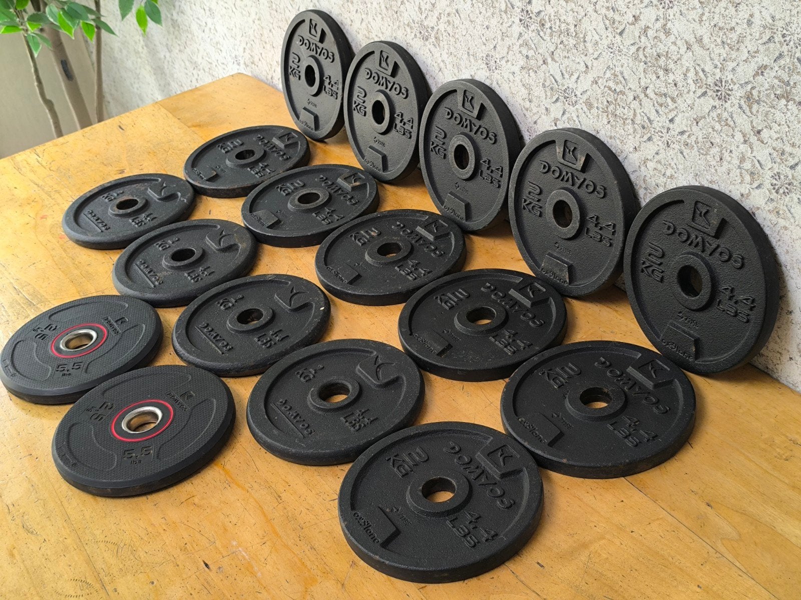 15 x 2kg & 2 x 2,5kg Domyos plaques de musculation. 2,8cm., Enlèvement, Utilisé, Bras, Plaques d'haltères