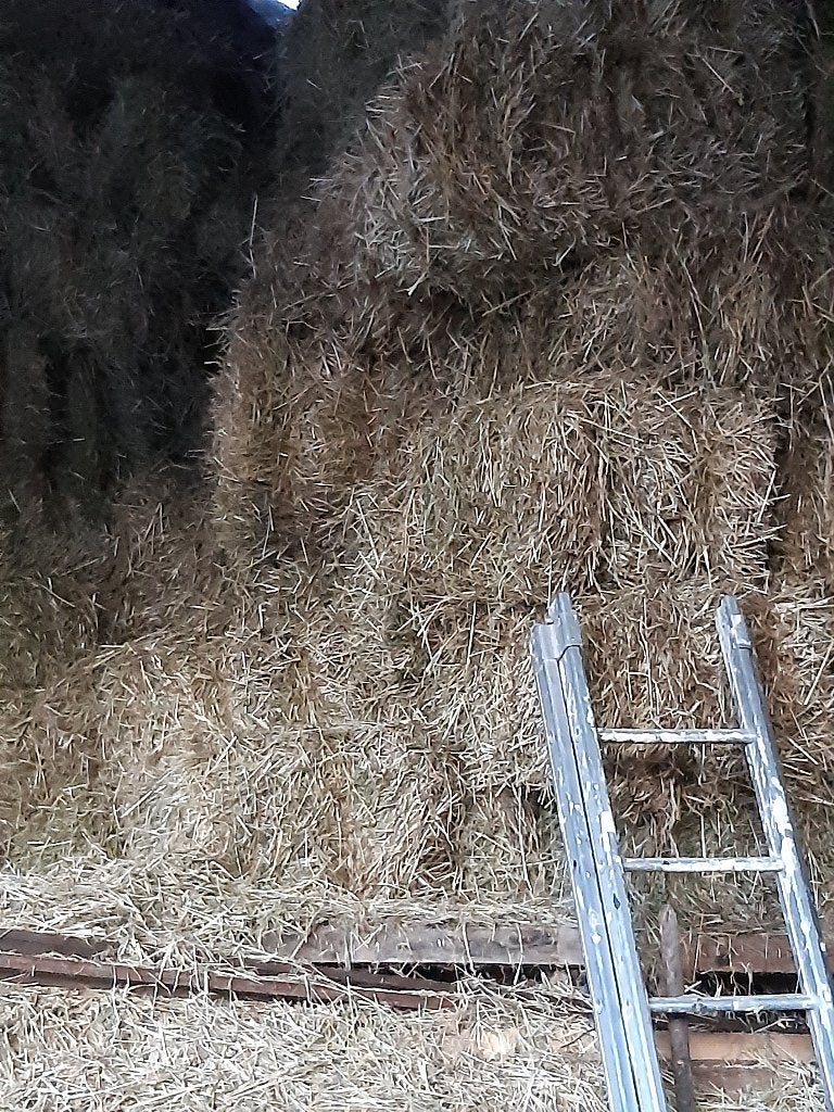 Hooi, Dieren en Toebehoren