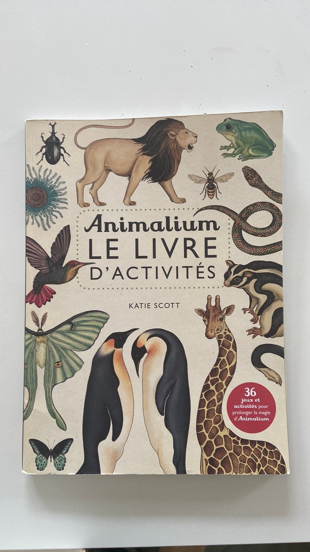Animalium Le livre d’activités, Enlèvement, Comme neuf