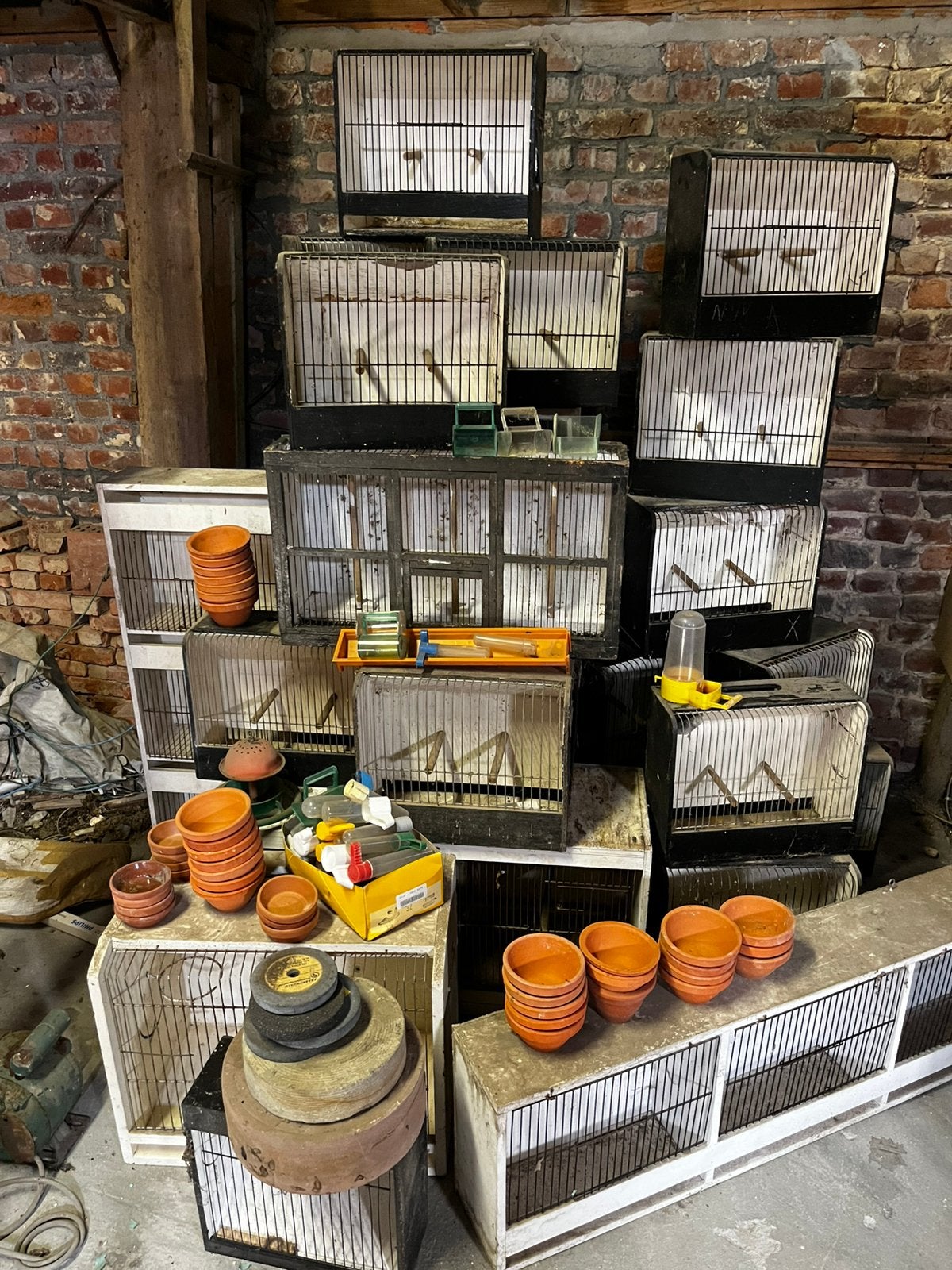 Grand lot de cages, Enlèvement, Utilisé, Bois, Cage d'élevage