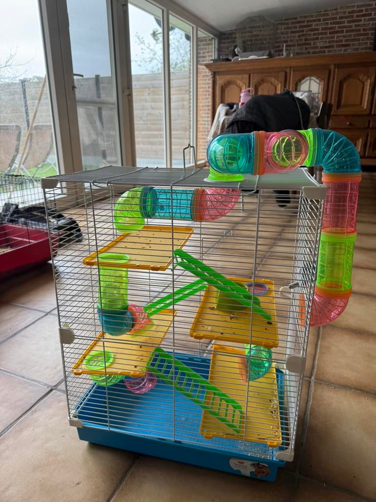 Hamster kooi met verdiepingen en buizen, Dieren en Toebehoren, Ophalen, Zo goed als nieuw, Kooi, Hamster