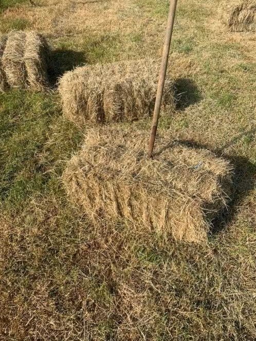 ZELF AFHALEN of LEVEREN van kleine botten of balen HOOI, Dieren en Toebehoren, Ophalen, Vee