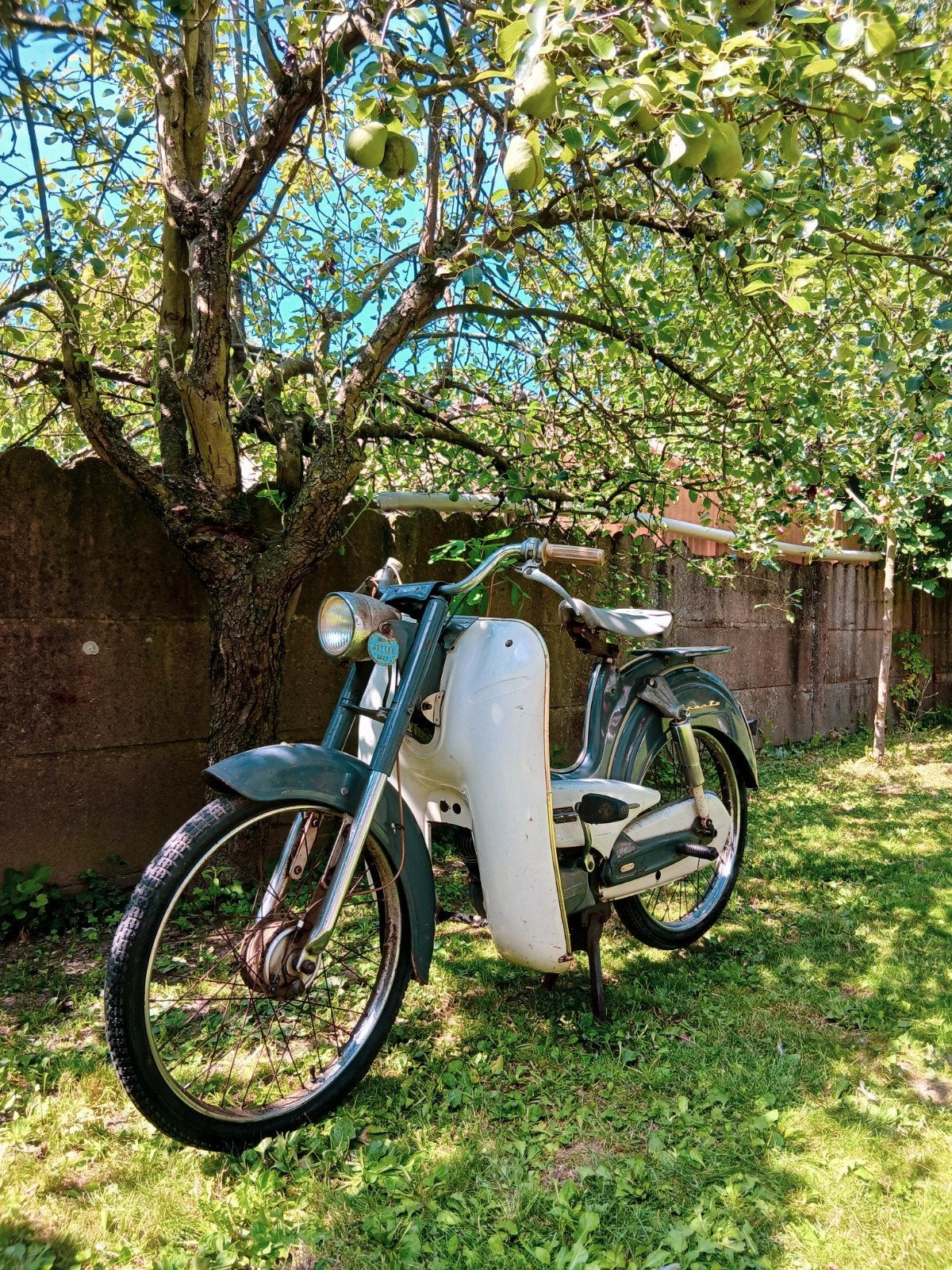 Sparta SF50 (volledig origineel), Fietsen en Brommers, Ophalen, Sparta