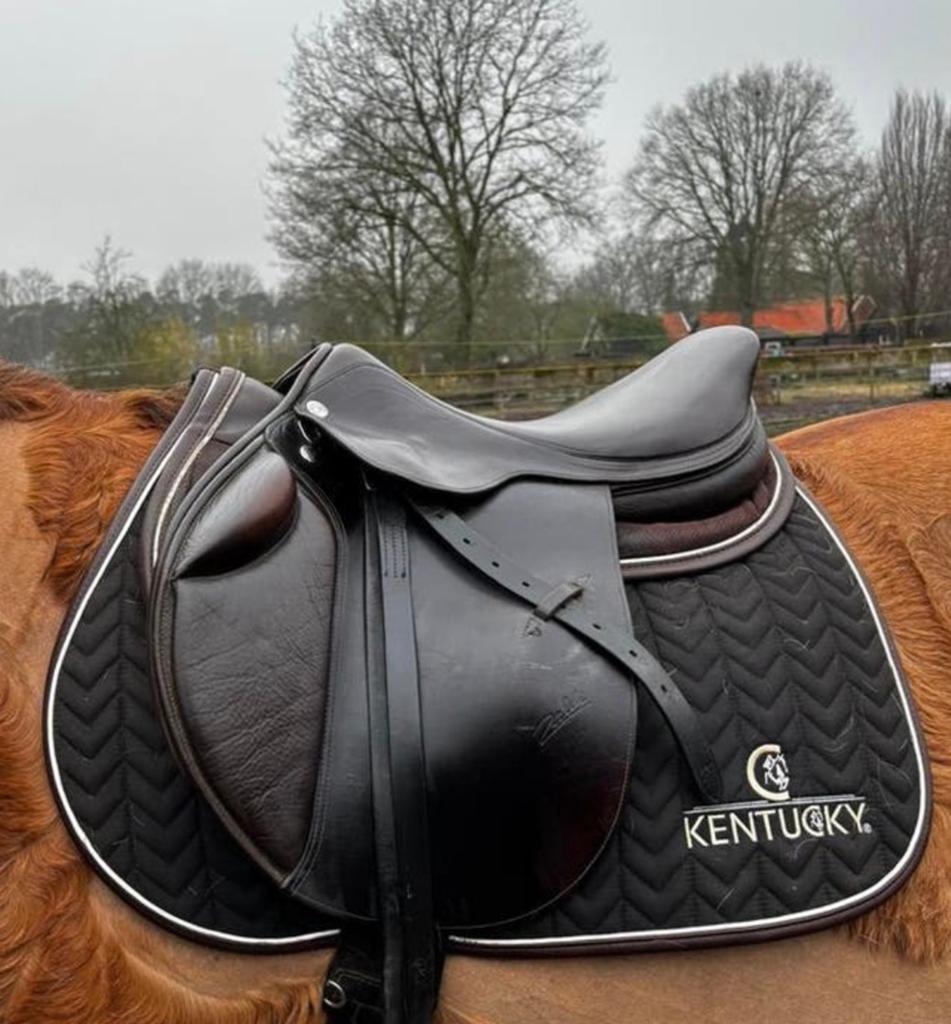 Springzadel, Animaux & Accessoires, Enlèvement ou Envoi, Comme neuf