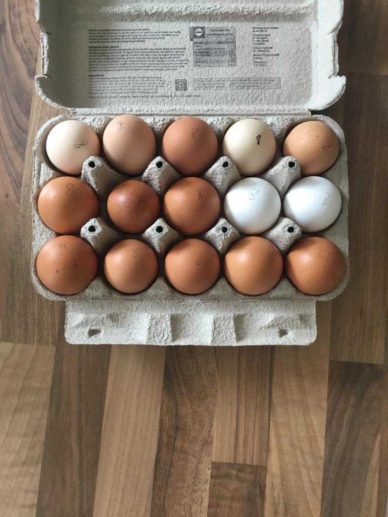 Eieren, Ophalen, Zo goed als nieuw