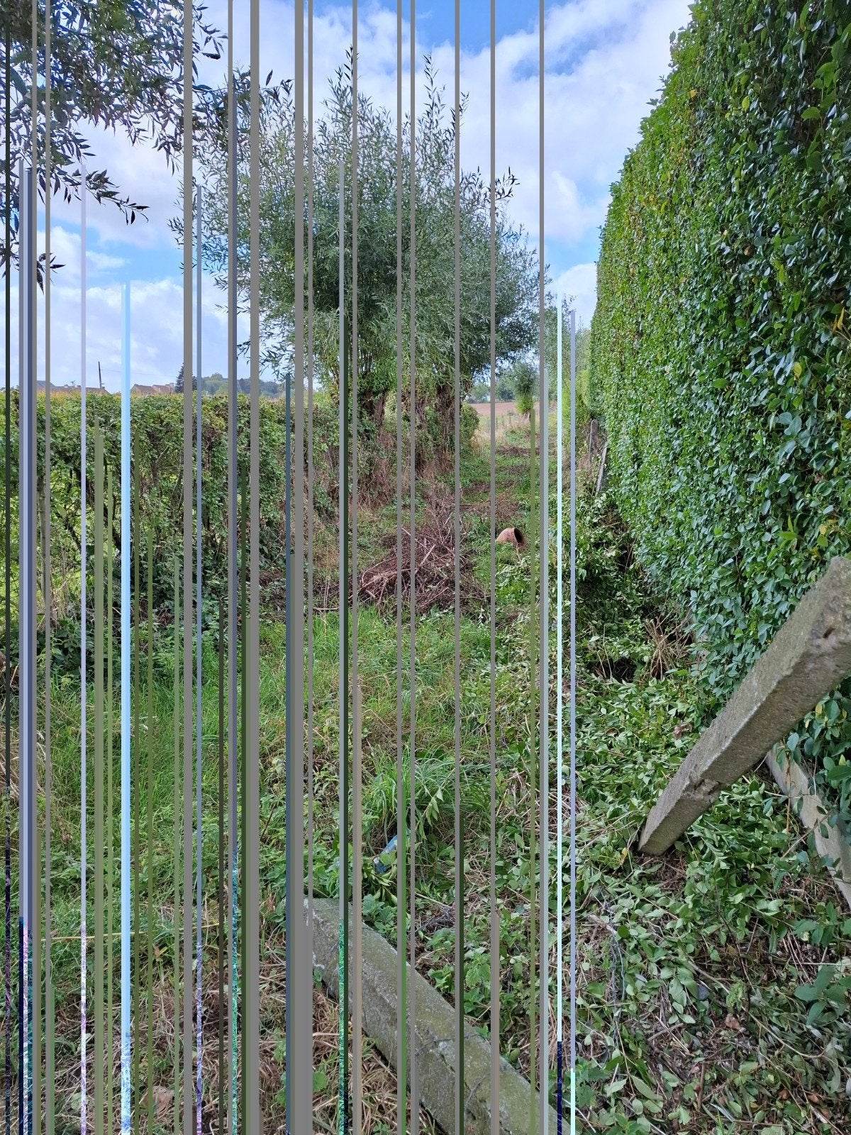 Landbouwgrond 25a, Immo