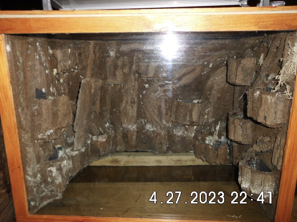 Terrarium, Dieren en Toebehoren, Ophalen
