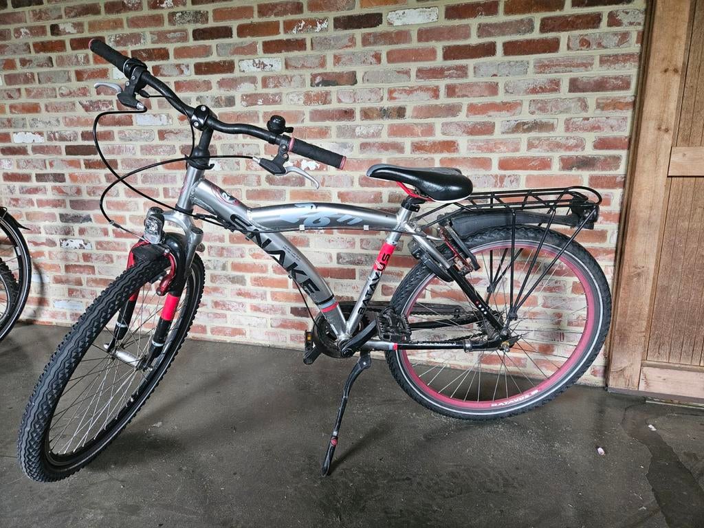 Batavus snake 26 inch, Enlèvement