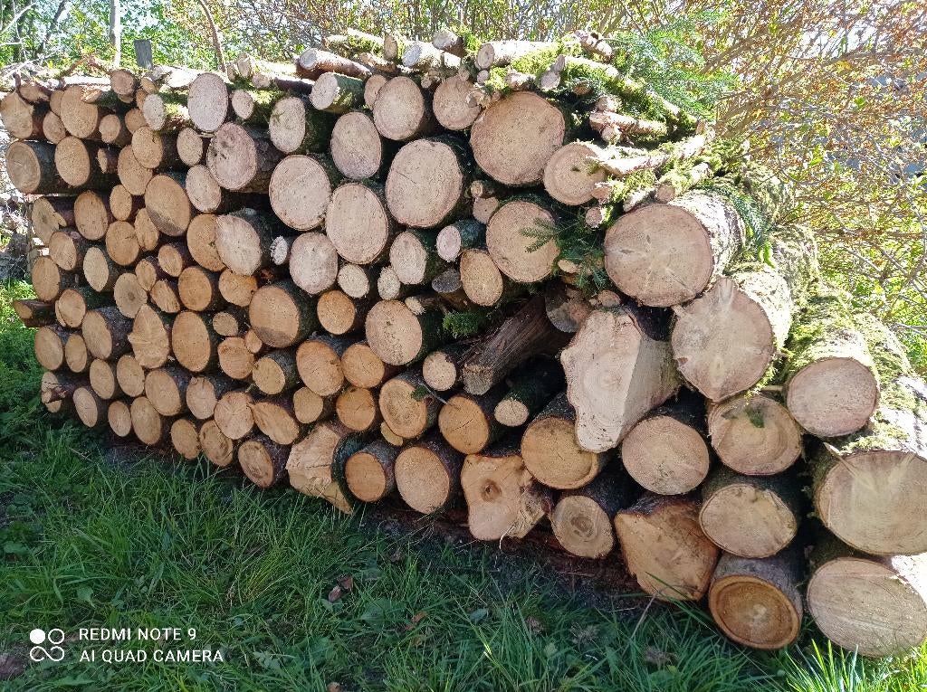 Bois de Chauffage Epicéa en 1m, Tuin en Terras, Brandhout, 6 m³ of meer, Ophalen, Overige houtsoorten, Blokken