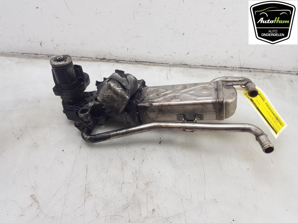 EGR KLEP Skoda Fabia II Combi (01-2007/12-2015), Auto-onderdelen, Gebruikt, Skoda