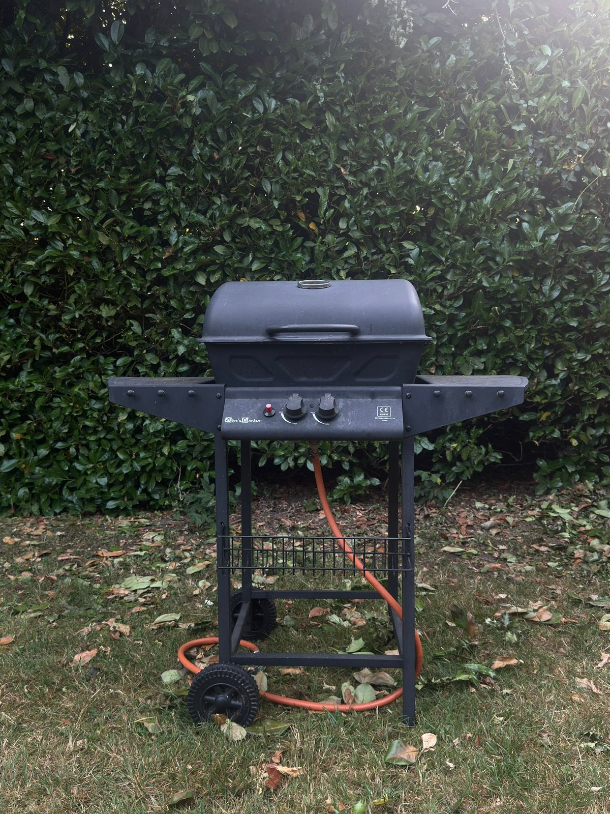 Gasbbq in gebruikte staat, Tuin en Terras, Houtskoolbarbecues, Ophalen, Zo goed als nieuw