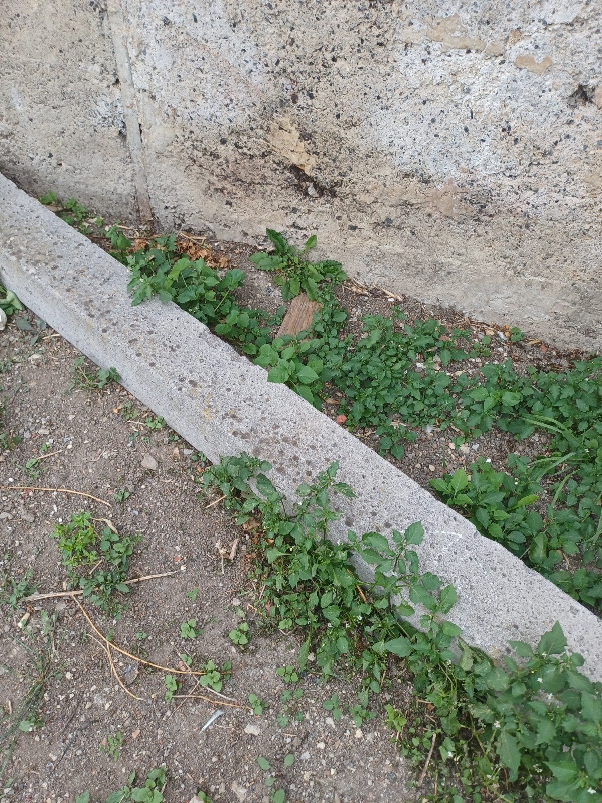 linteau en béton, Bricolage & Construction, Enlèvement, Béton