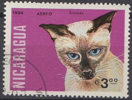 Nicaragua - Siamese kat - 1984, Verzenden, Gestempeld