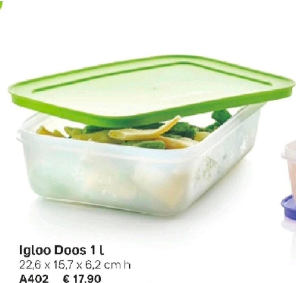 Boîte igloo Tupperware 1 litre, Enlèvement ou Envoi, Neuf