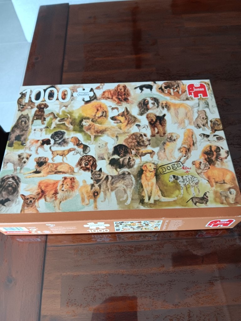 Puzzel, Hobby en Vrije tijd, Ophalen, 500 t/m 1500 stukjes, Zo goed als nieuw, Legpuzzel