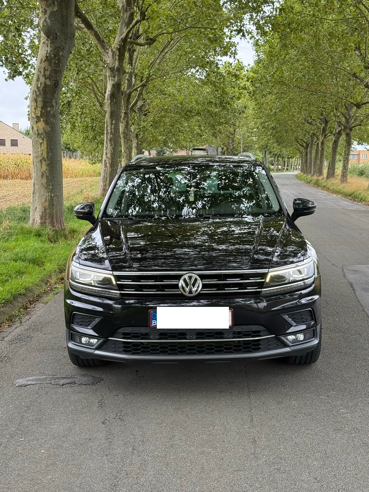 Highline du Tiguan, Autos, Volkswagen, Cuir, Achat, 139 g/km, Euro 6