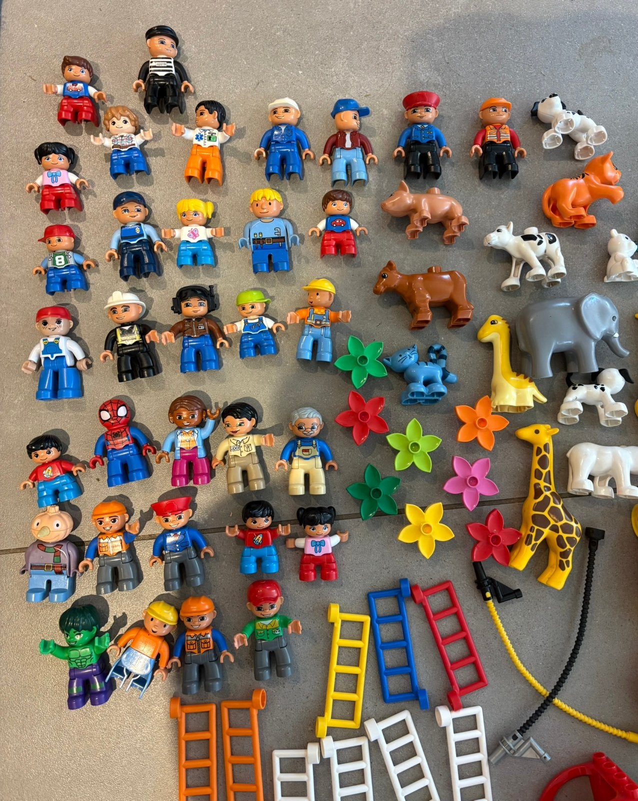 Lot duplo, Enlèvement, Utilisé, Ensemble complet, Duplo