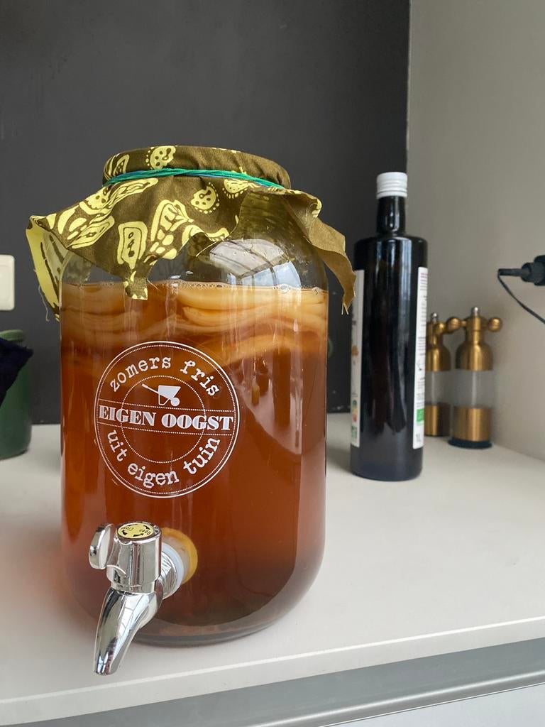 Scoby Kombucha, Enlèvement