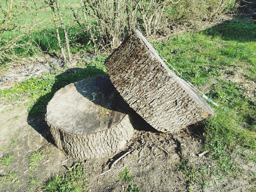 Bois, 3 à 6 m³, Enlèvement, Frêne, Bûches