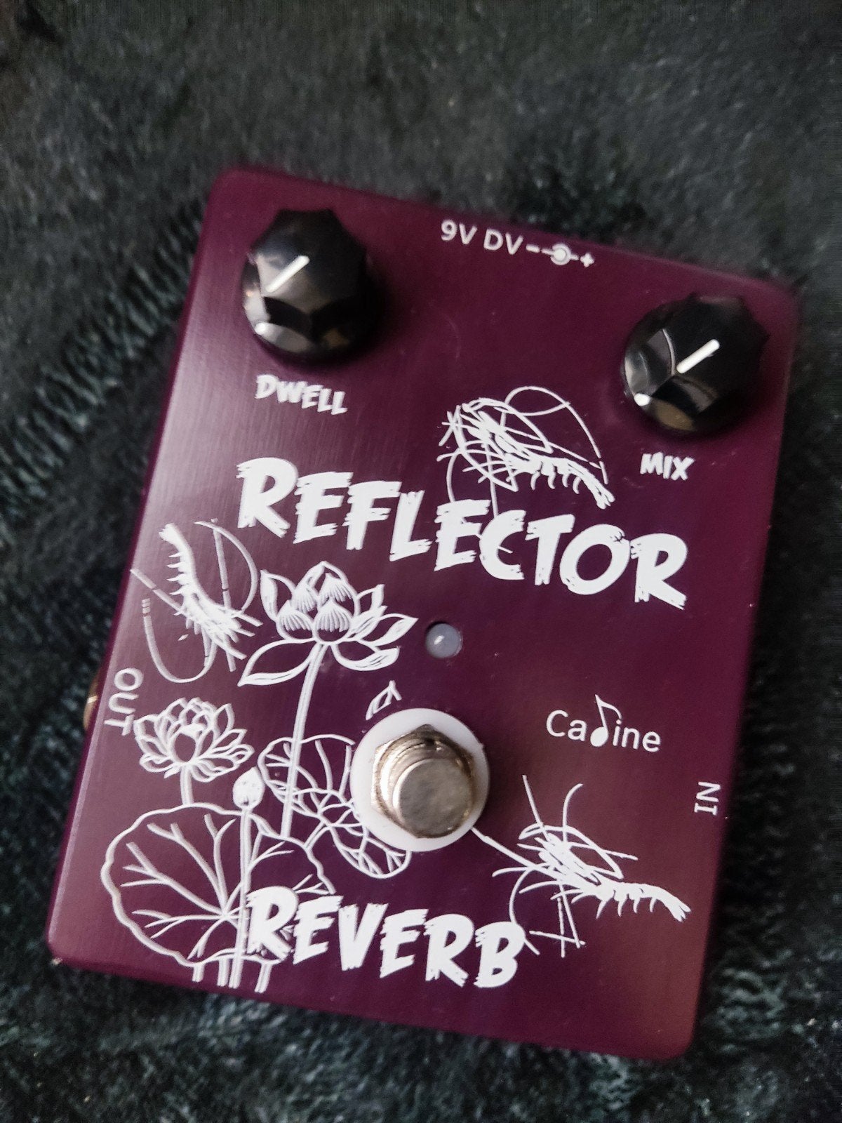 Caline reflector reverb pedal, Muziek en Instrumenten, Effecten, Ophalen of Verzenden, Nieuw, Reverb