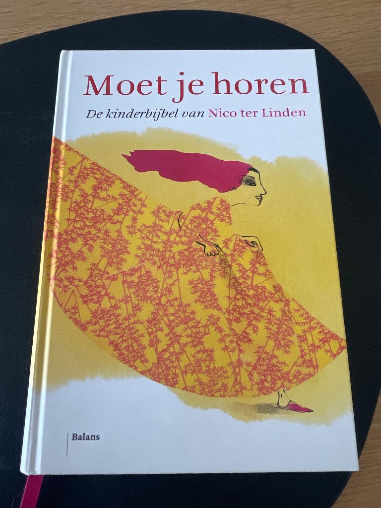 Nico ter Linden - Moet je horen, Boeken, Godsdienst en Theologie, Zo goed als nieuw, Christendom | Katholiek, Ophalen