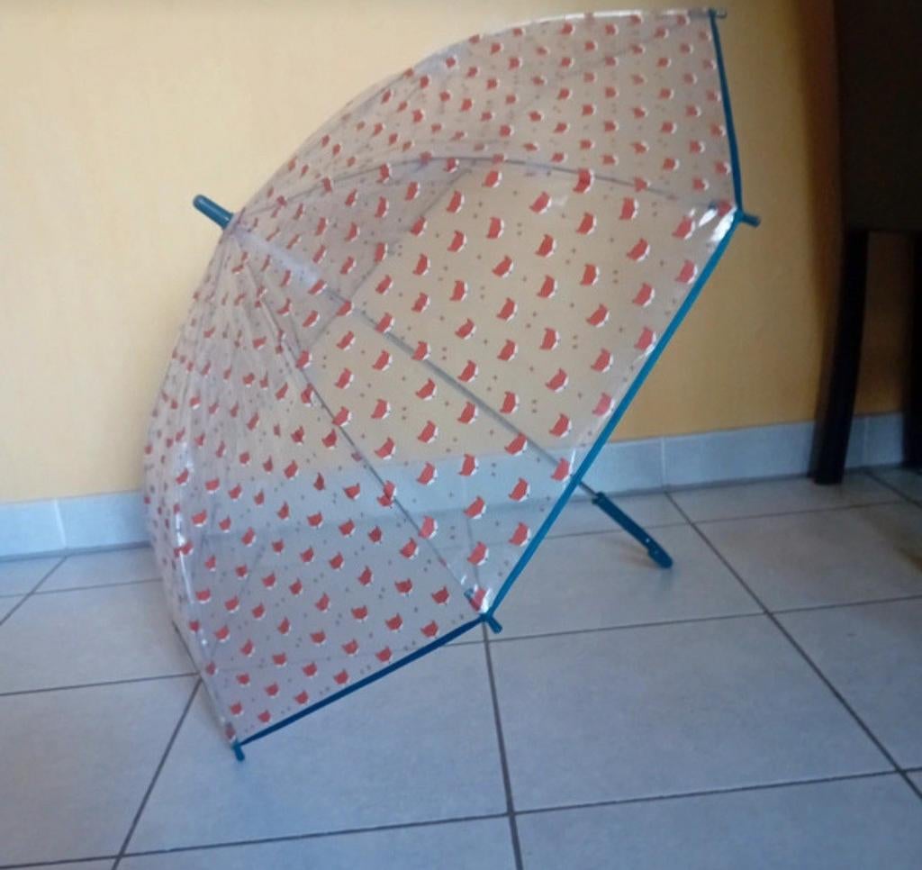 Kinderparaplu, Enlèvement
