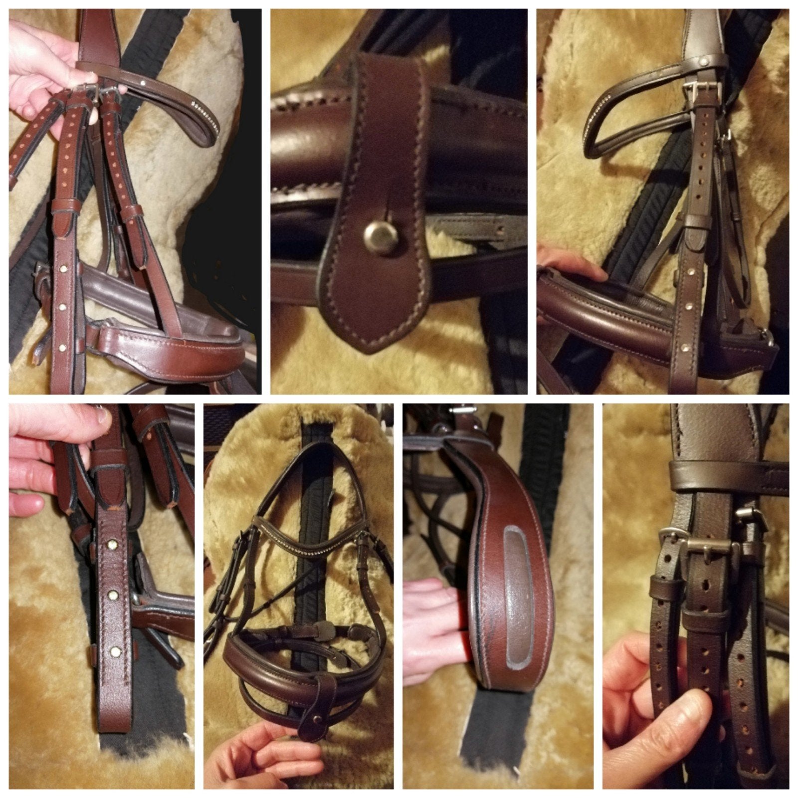 Nouveau bridon taille pur-sang, Animaux & Accessoires, Enlèvement