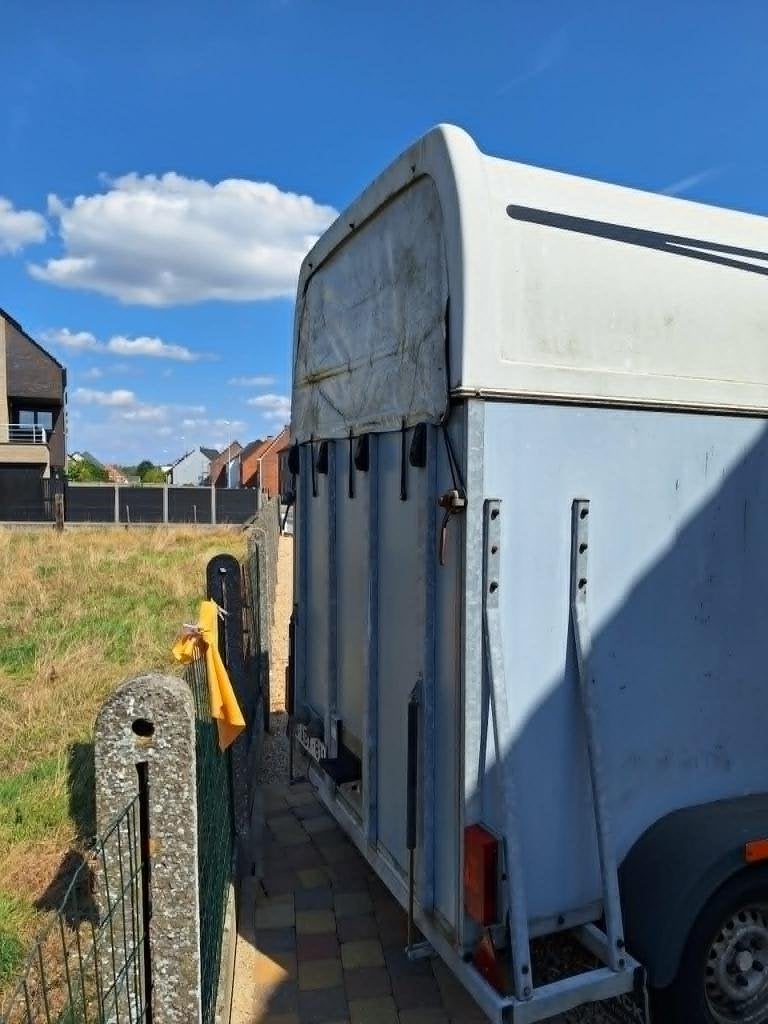 paarden trailer, Enlèvement, Utilisé, Bois, Remorque 2 chevaux