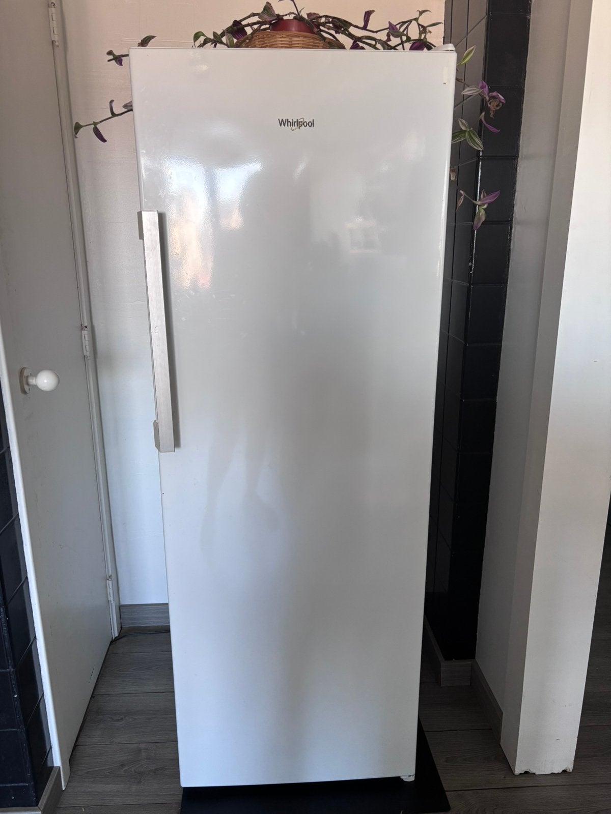 Fridge / koelkast, Elektronische apparatuur, Ophalen, 200 liter of meer, 160 cm of meer, Energieklasse A of zuiniger