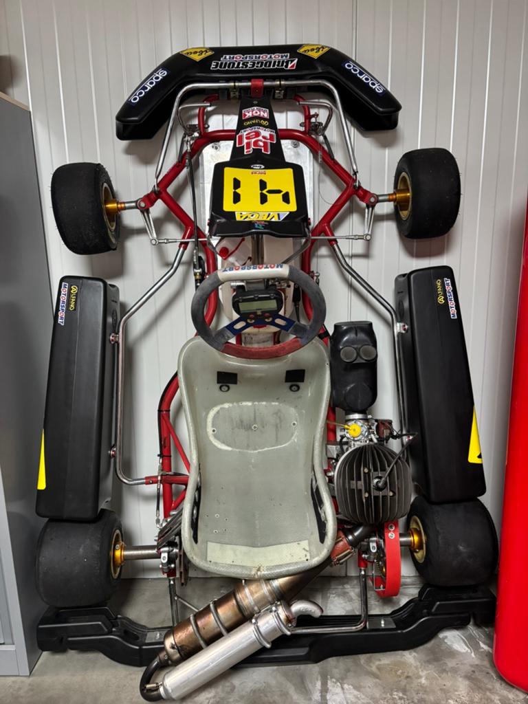 Birel Kart Chassis 100cc CRG motor Volledig Inorde!, Sports & Fitness, Karting, Enlèvement, Comme neuf, Kart