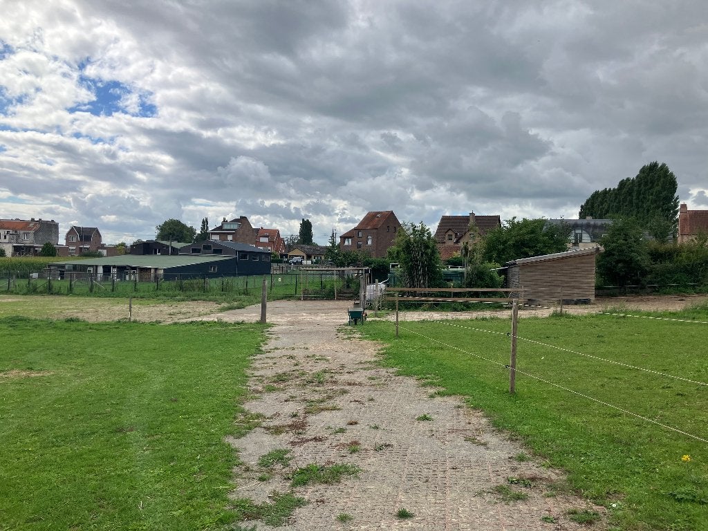 Prairie pour chevaux, Pâturage, 2 ou 3 chevaux ou poneys