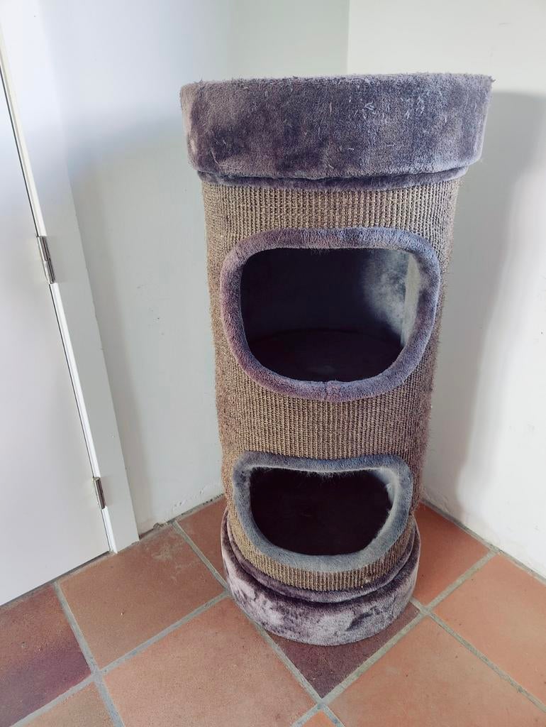 Krabpaal voor katten, Enlèvement, Griffoir