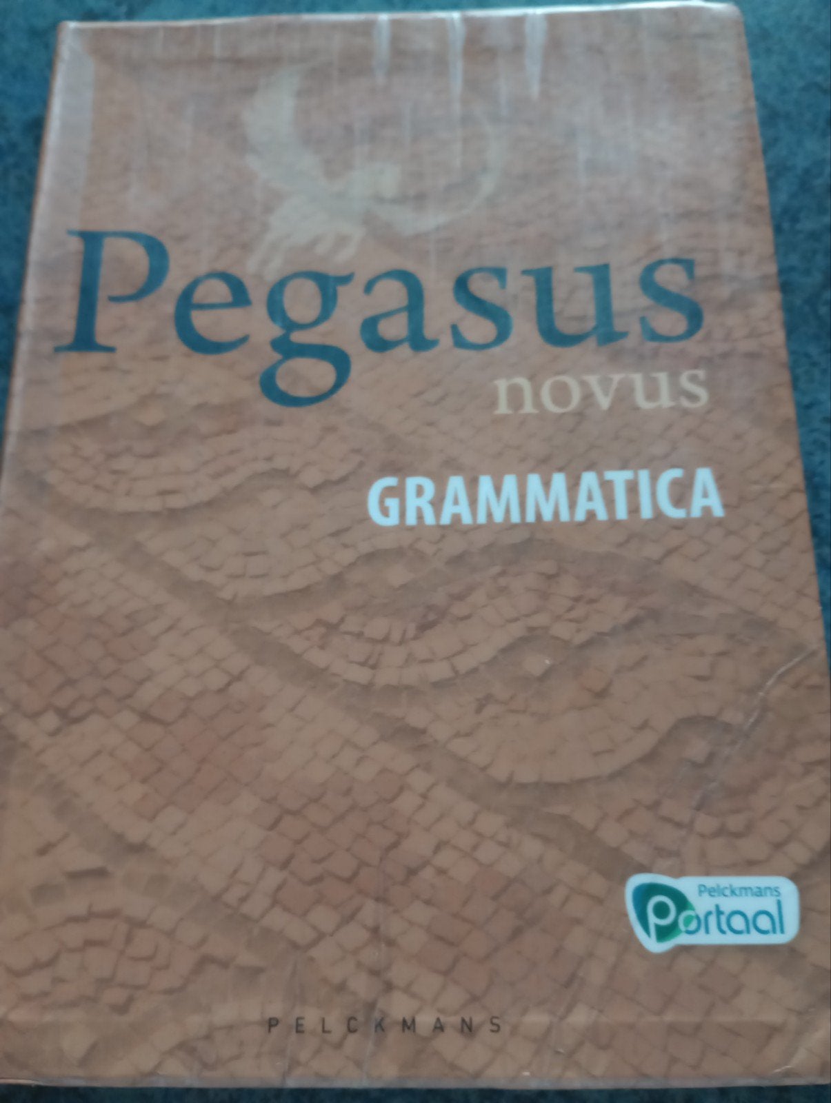Pegasus Nibud Grammatica, Ophalen of Verzenden, Zo goed als nieuw, ASO, Pelckmans