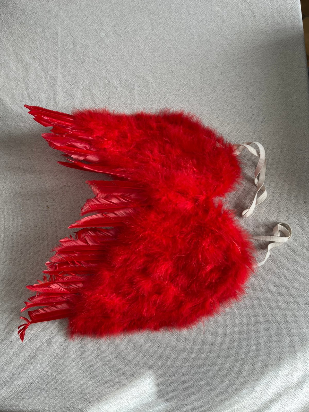 Costume : ailes en plumes rouges, Ophalen, Gebruikt, Jongen of Meisje