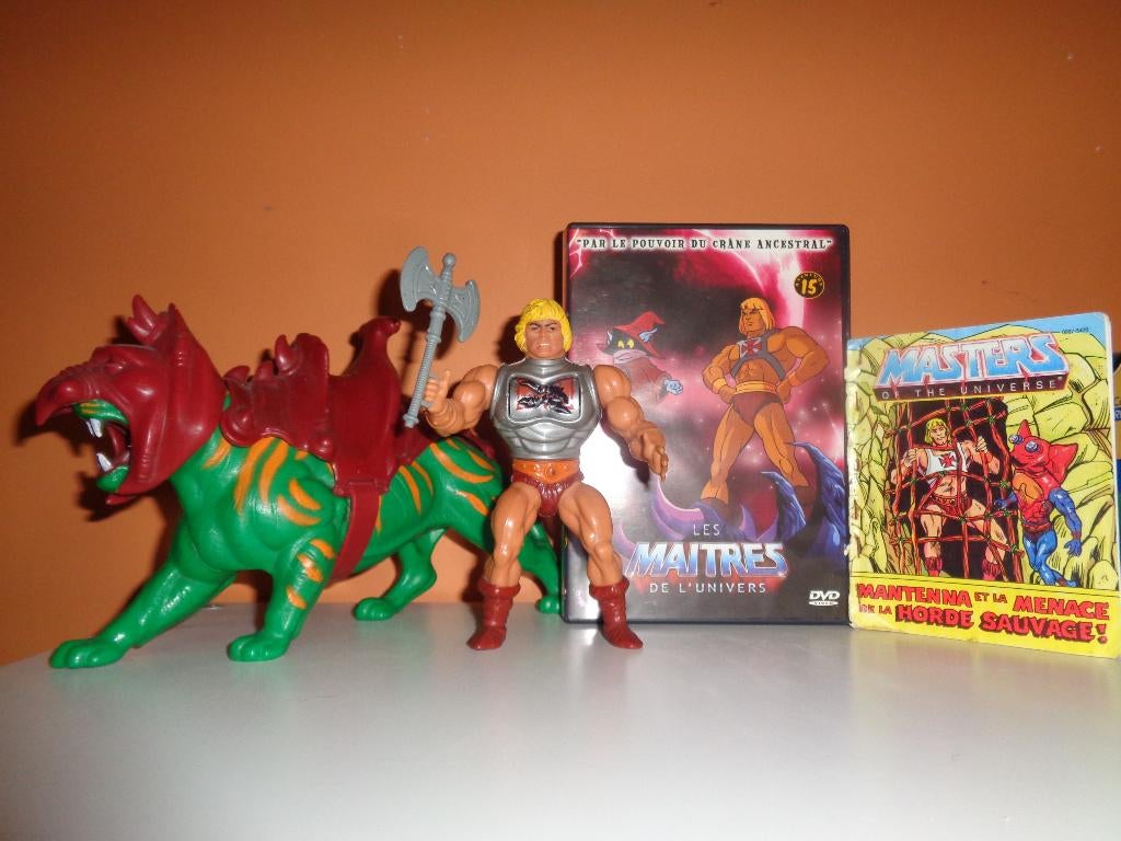 les maîtres de l'univers, mattel 1981', Ophalen