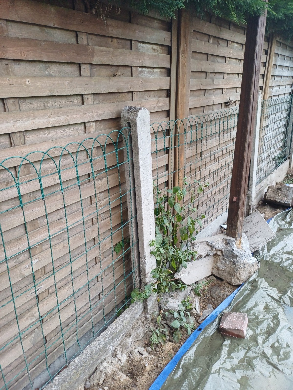 gratis betonpalen en platen, Tuin en Terras, Ophalen, Gebruikt