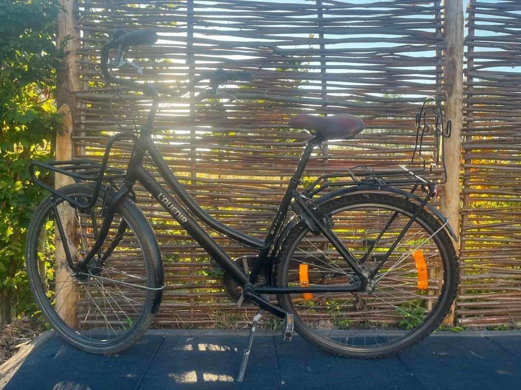 Damesfiets, Gebruikt, 47 tot 50 cm, Versnellingen, Ophalen