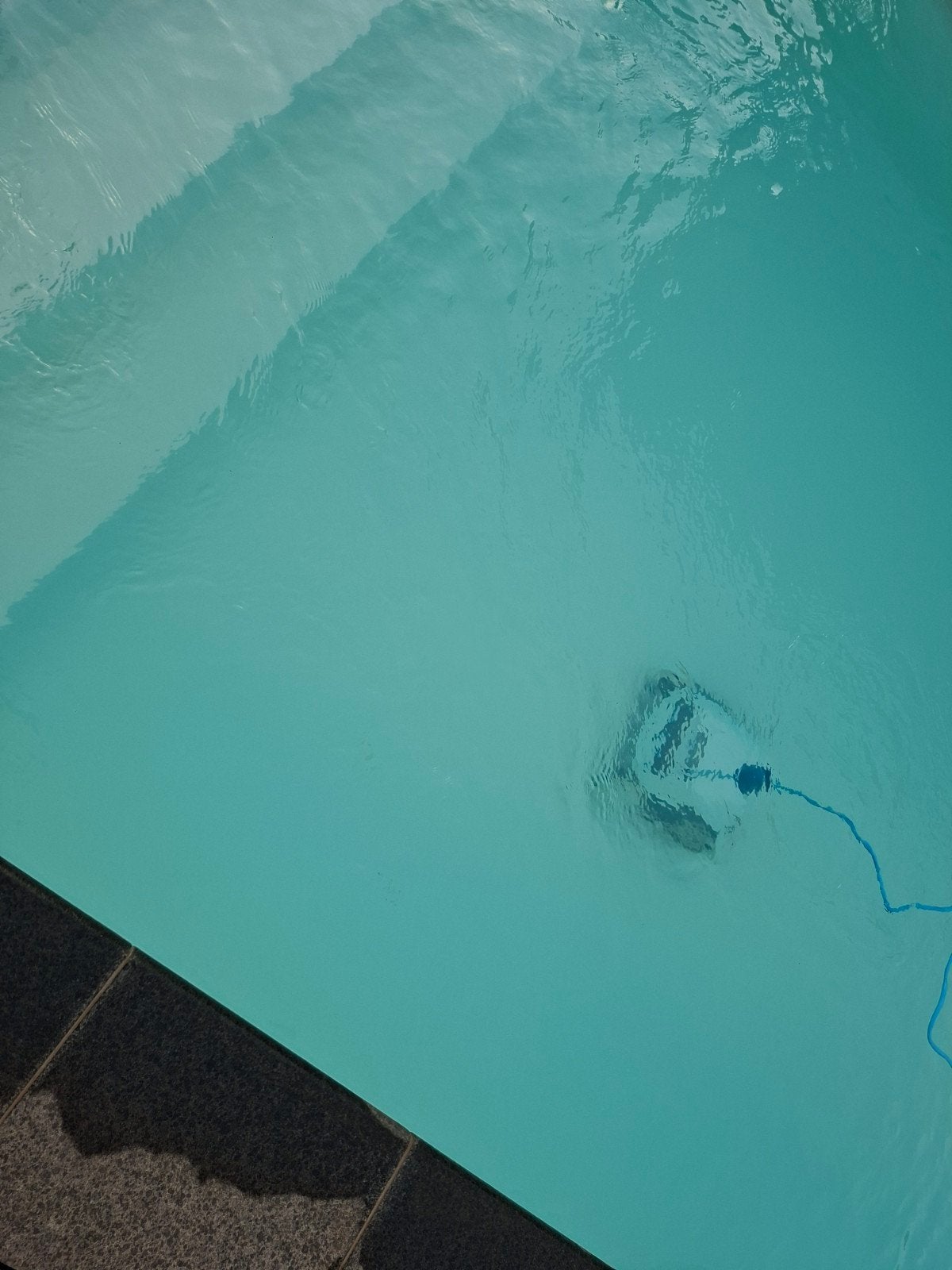 Robot de piscine DOLPHIN E10... utilisé pendant 2 étés... fo, Enlèvement